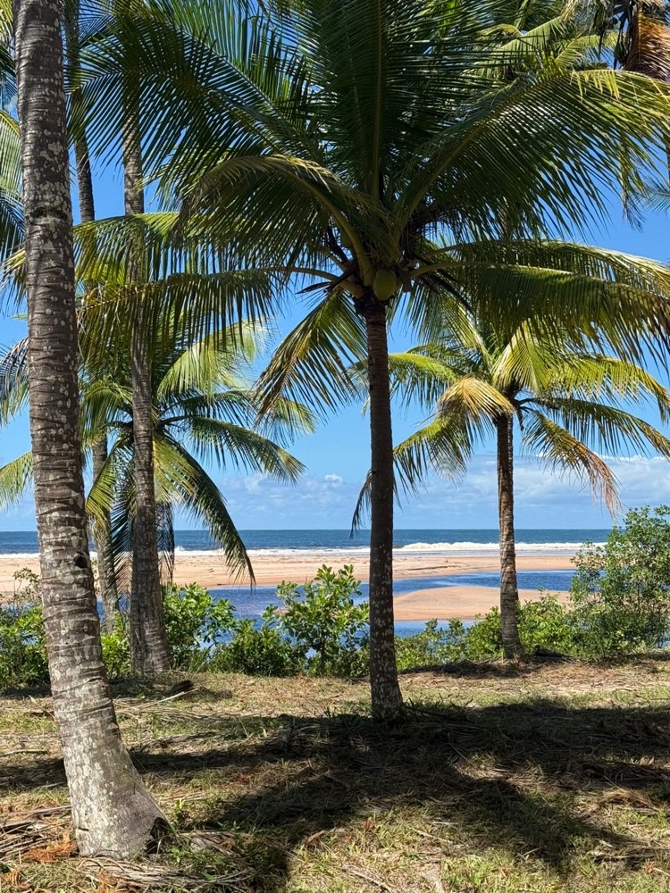 Casa Mimpi — Piracanga